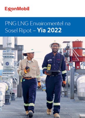 Executive Summary (Tok Pisin)