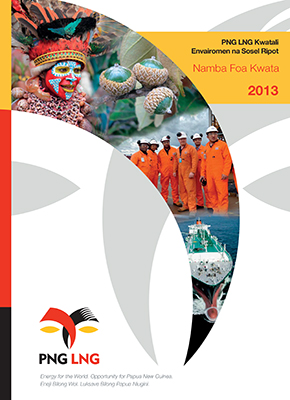 Executive summary (Tok Pisin)