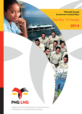 Executive summary (Tok Pisin)