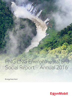 Executive summary (English)