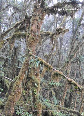 Report summary (English)