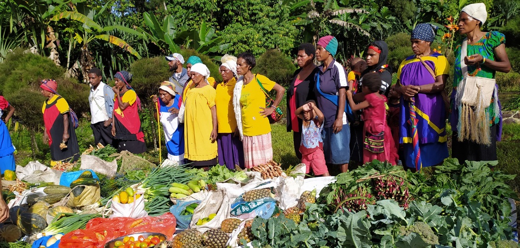 Paija Ipa Group harvests a bright future