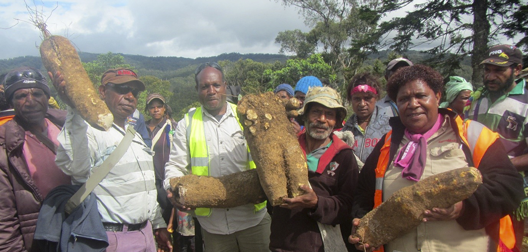 An African Yam Farmer in Hides